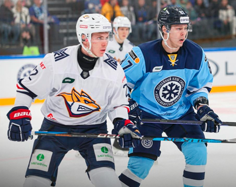 На изображении двое хоккеистов на льду в полной экипировке. Один в форме белого цвета с символикой Лисы, другой в форме синих оттенков с логотипом хоккейного клуба. Они готовятся к игре